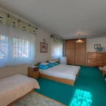Retro Nadas Vendeghaz 3*