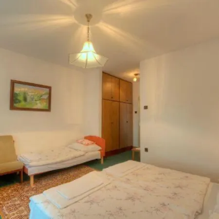 Retro Nadas Vendeghaz 住宿加早餐酒店 巴拉通雷勒