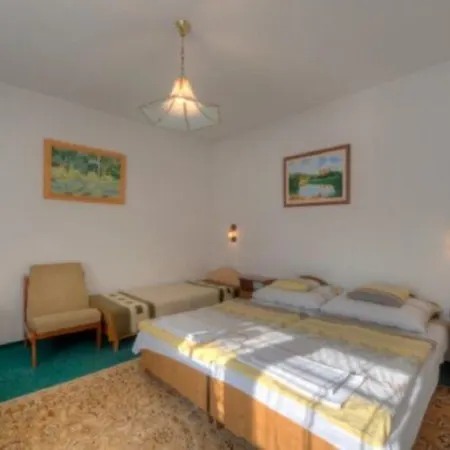 Retro Nadas Vendeghaz 巴拉通雷勒